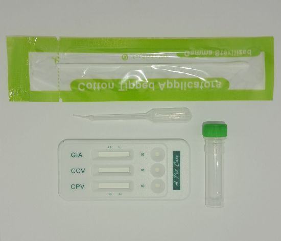 Picture of Home Test Canine Rapid kit 3 in 1 Parvo+Giardia+Corona indication.