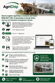 Picture of How to register a livestock and wildlife rfid microchip in South Africa 